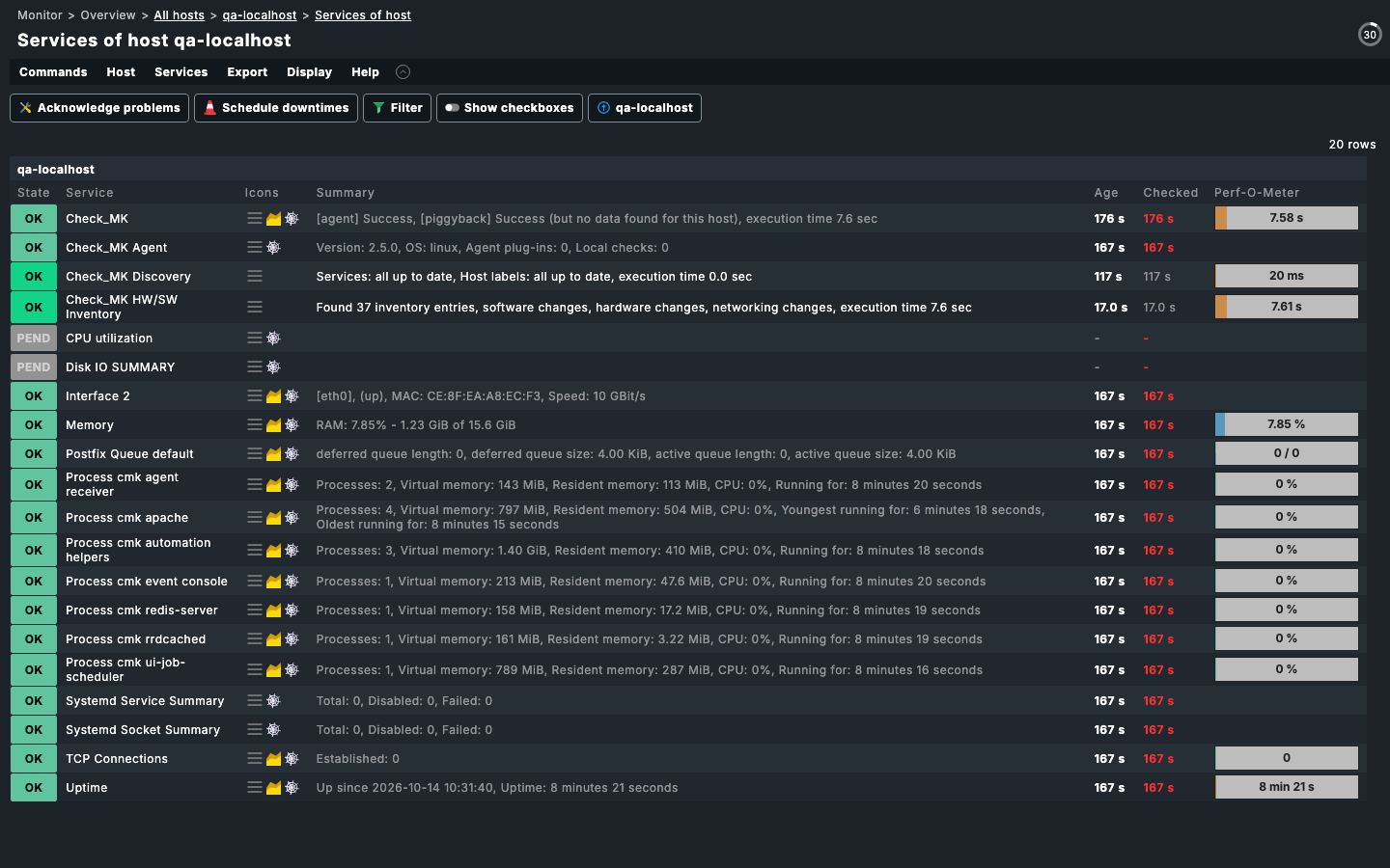 A Checkmk host with its discovered services listed