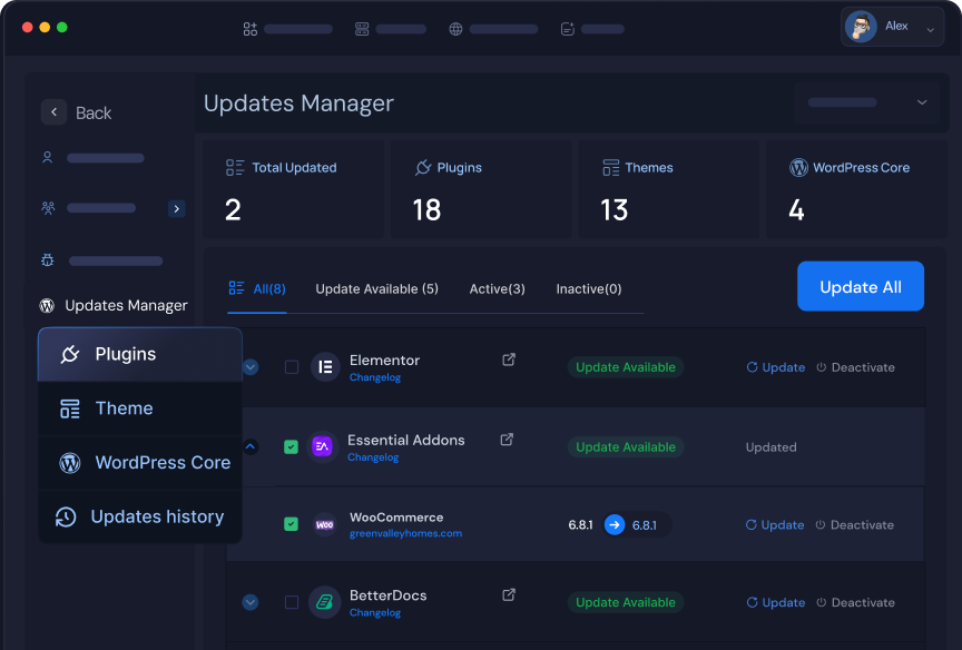 The Updates Manager listing plugins with available updates