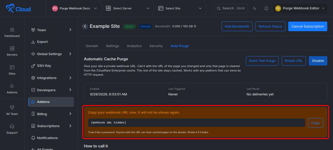 Copying the one-time webhook URL.