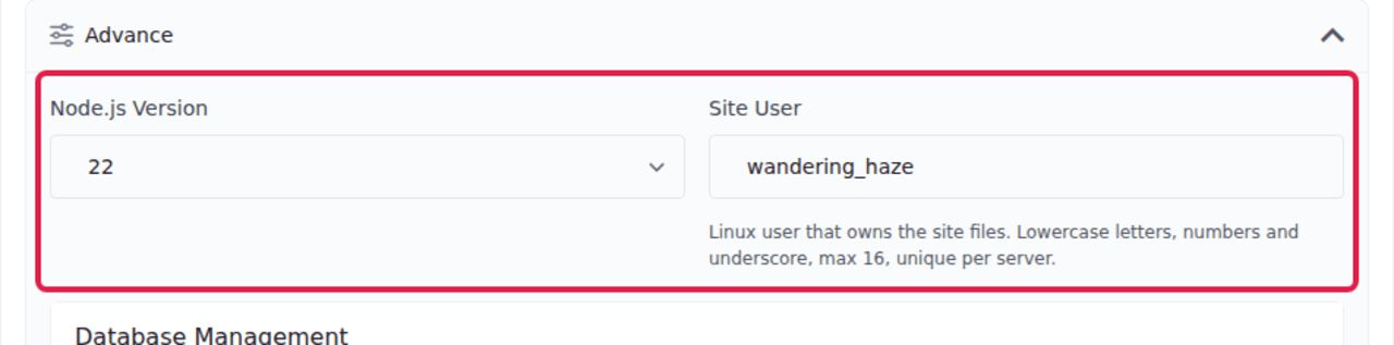The Advance section showing the Node.js Version and Site User fields