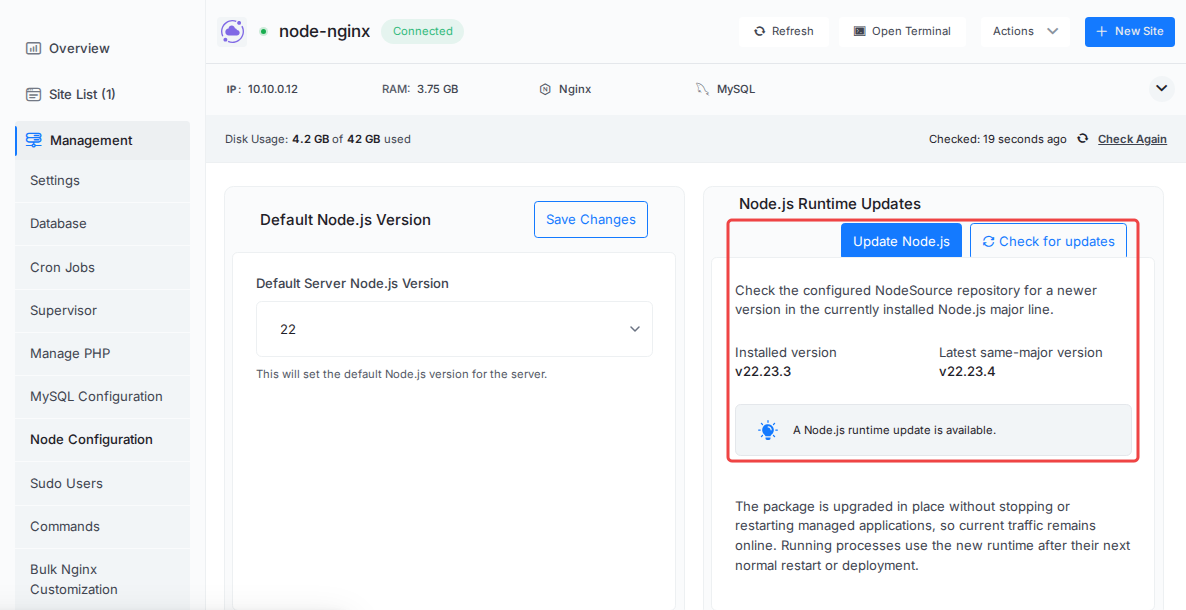 Node.js Runtime Updates card showing installed version v22.23.3 and latest same-major version v22.23.4