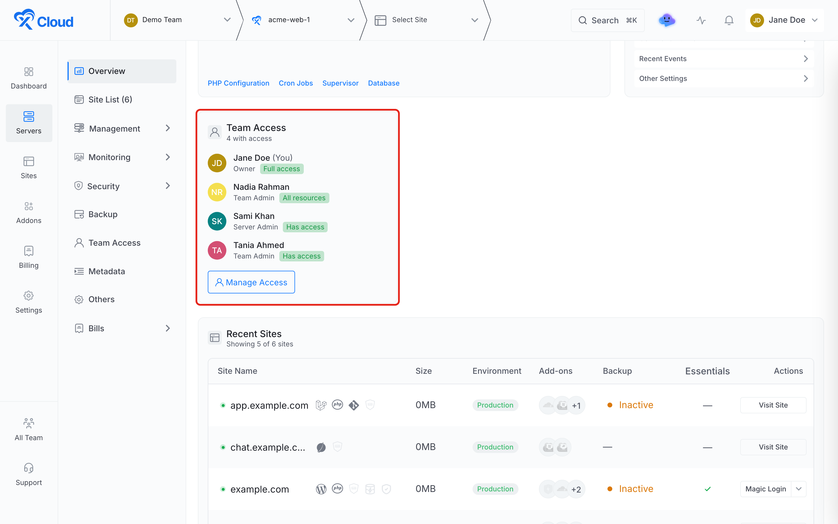 The Team Access card on a server overview