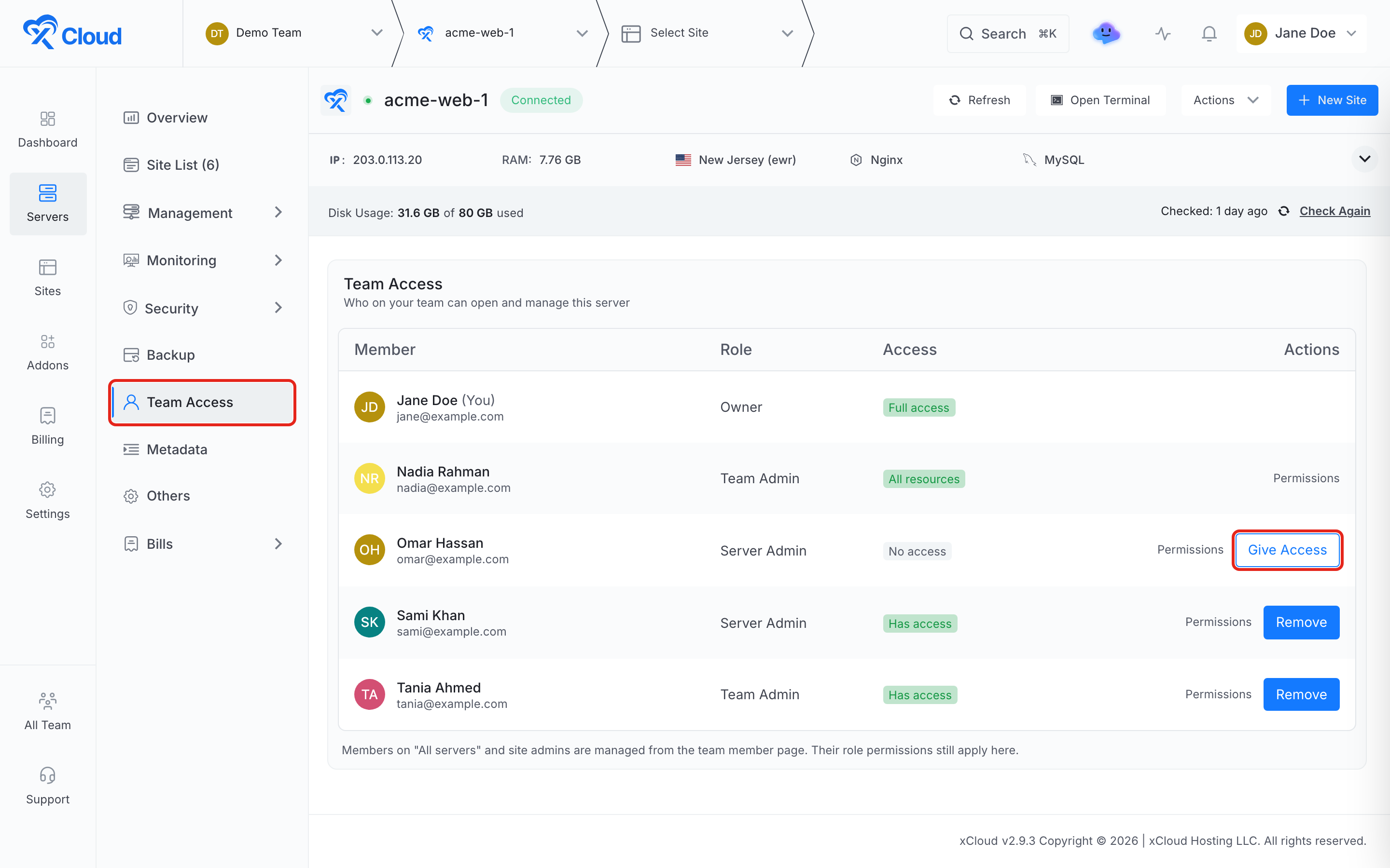The Team Access page in the server menu