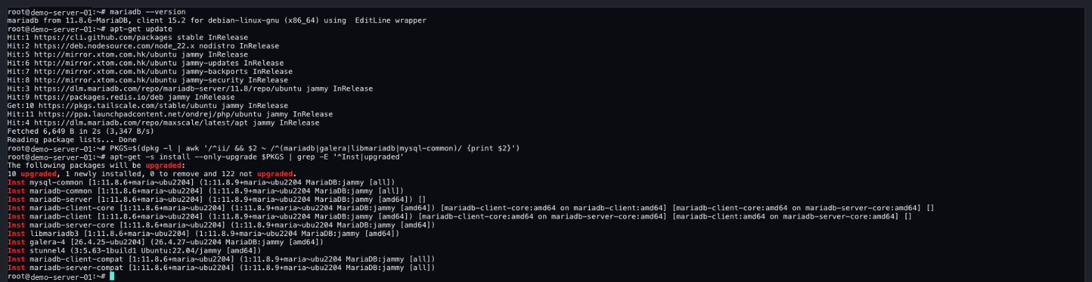 The update preview: MariaDB 11.8.6 installed, 10 packages to upgrade, 1 new package and 0 to remove
