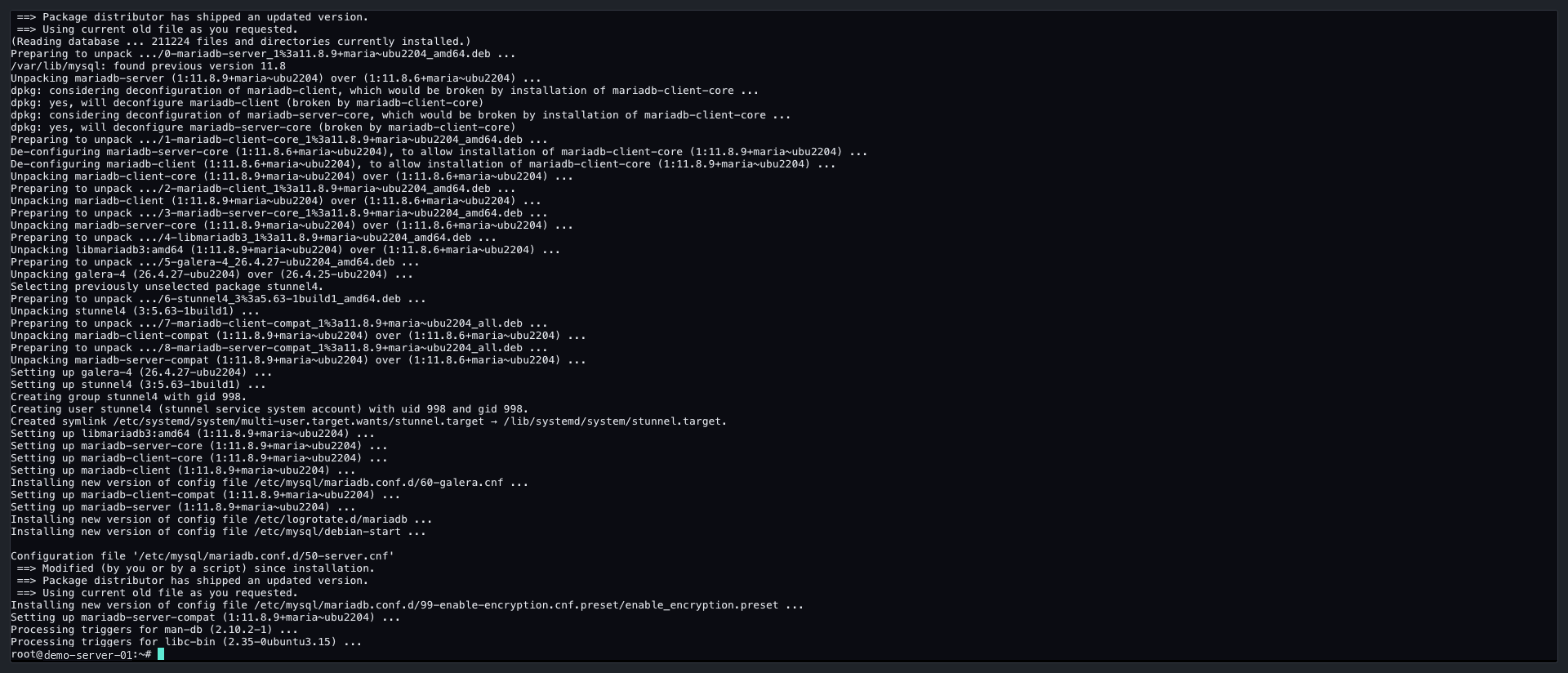 The end of the update: new MariaDB 11.8.9 packages set up and the existing 50-server.cnf settings kept