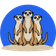 Meerkat CRM logo
