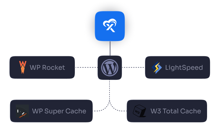 WP Rocket, WP Super Cache, W3 Total Cache and LightSpeed wired to one WordPress site