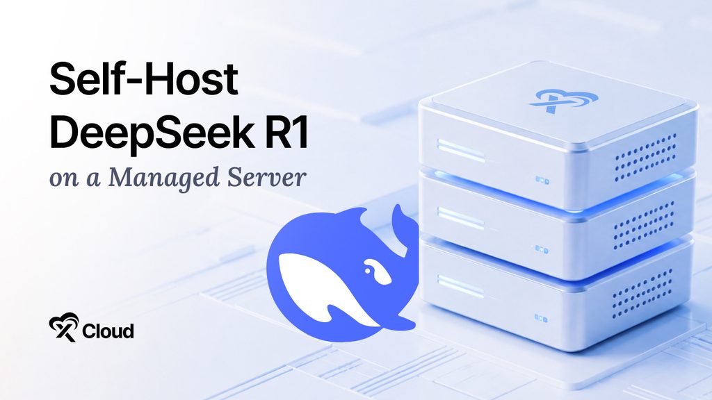 Self-Host DeepSeek R1 on a Managed Server