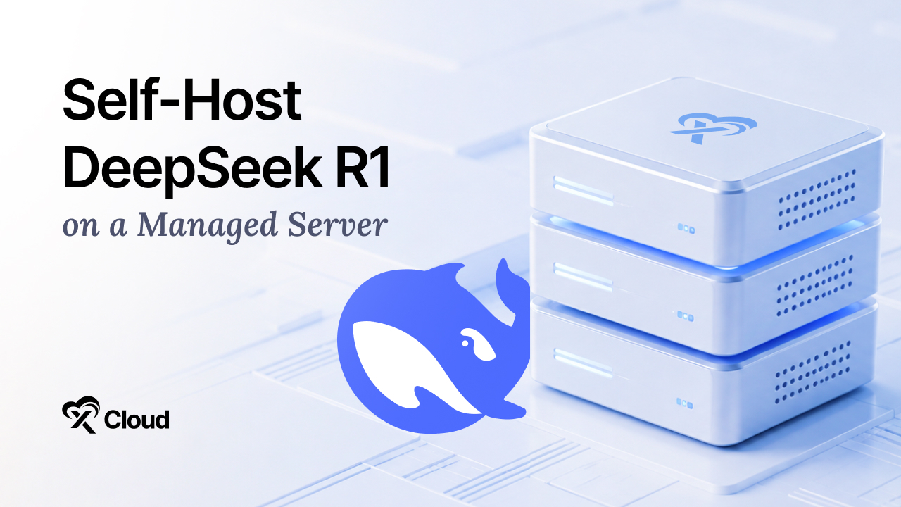 Self-Host DeepSeek R1 on a Managed Server