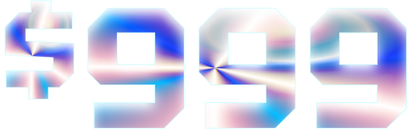 Selected Option Image