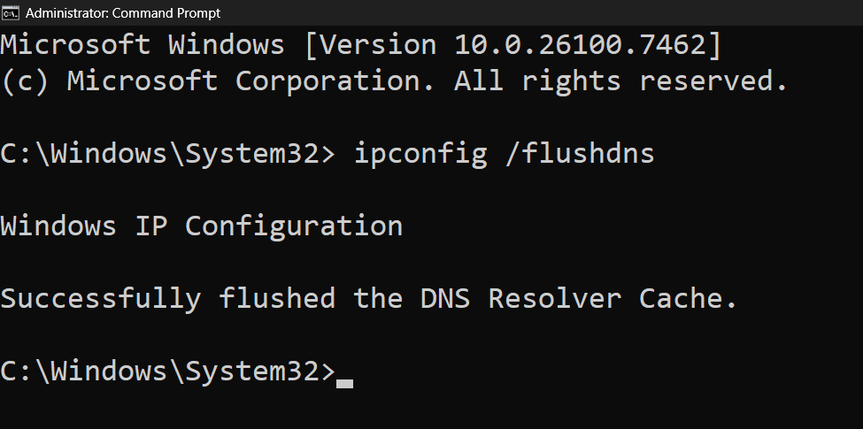 Successfully flushed the DNS Resolver Cache